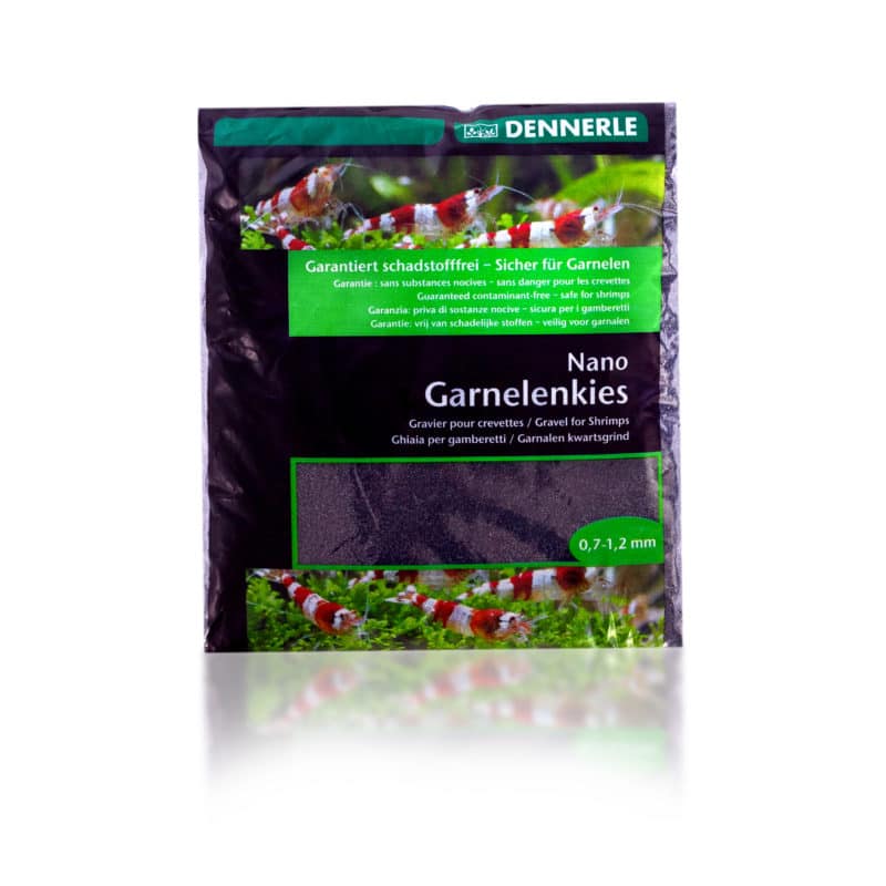 Garnelenkies - Sulawesi Schwarz