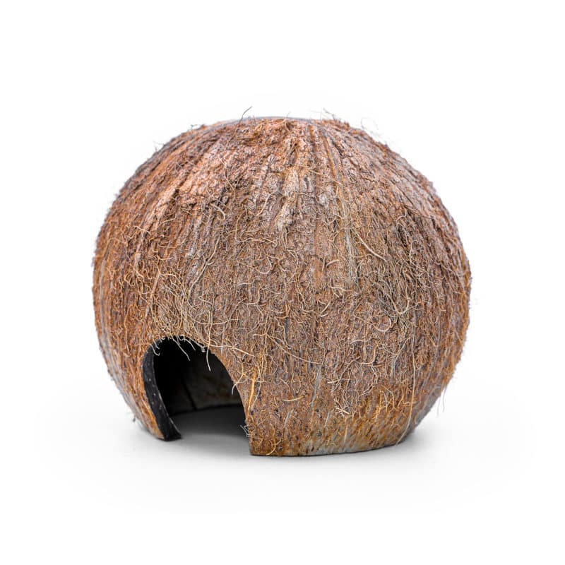 Kokosnuss-Höhle