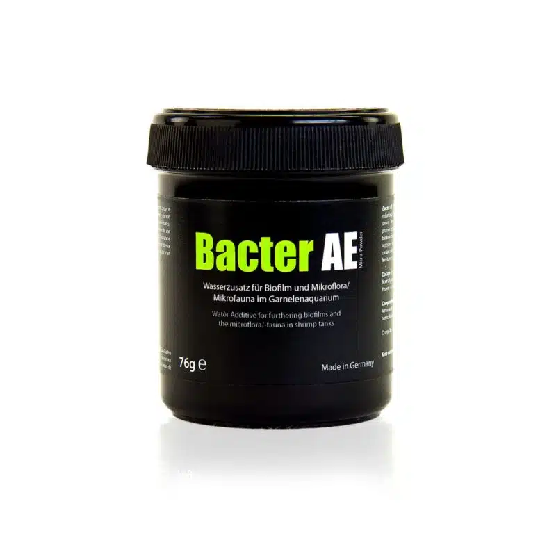 bacter ae